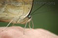 /album/dieren-fotografie/dsc-2296-jpg/
